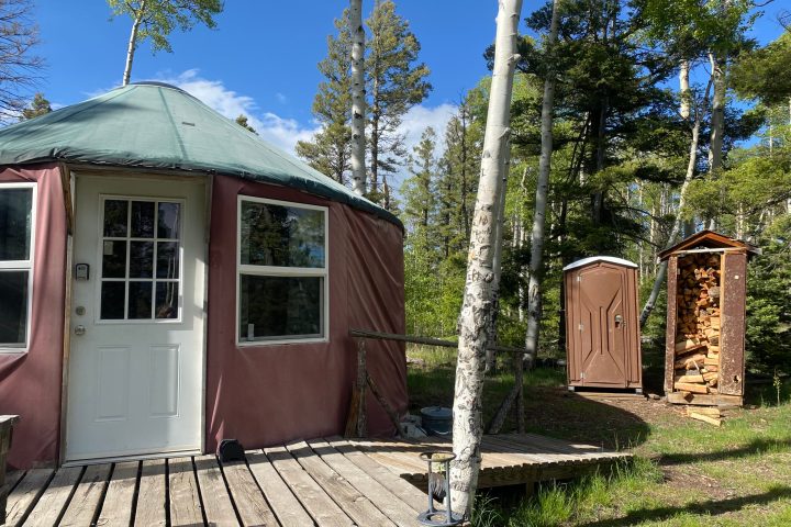 a house with trees in the background
