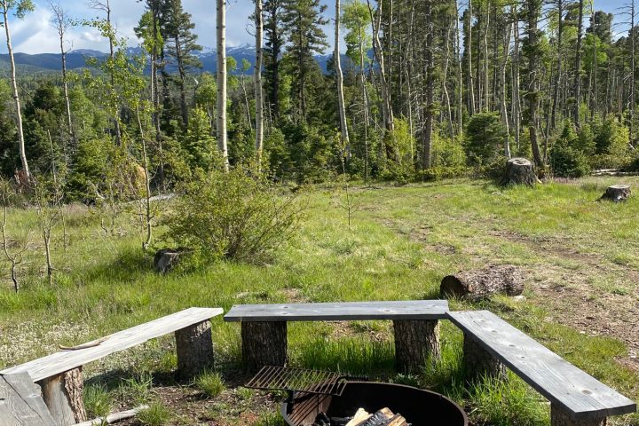 a wooden bench sitting in the grass