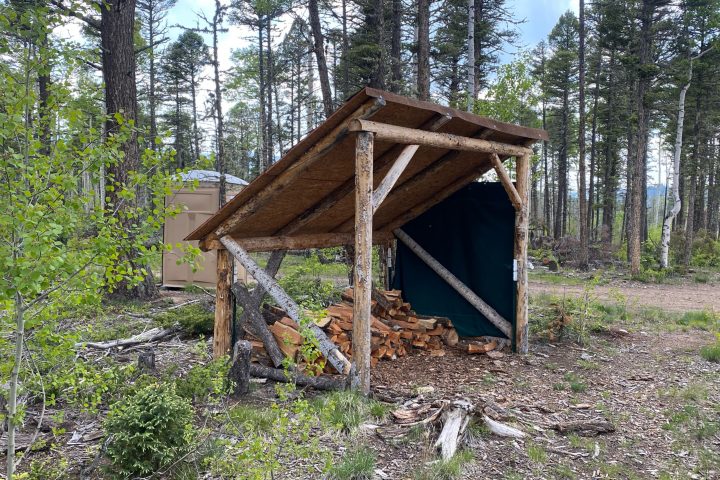 a wooden bridge in a forest
