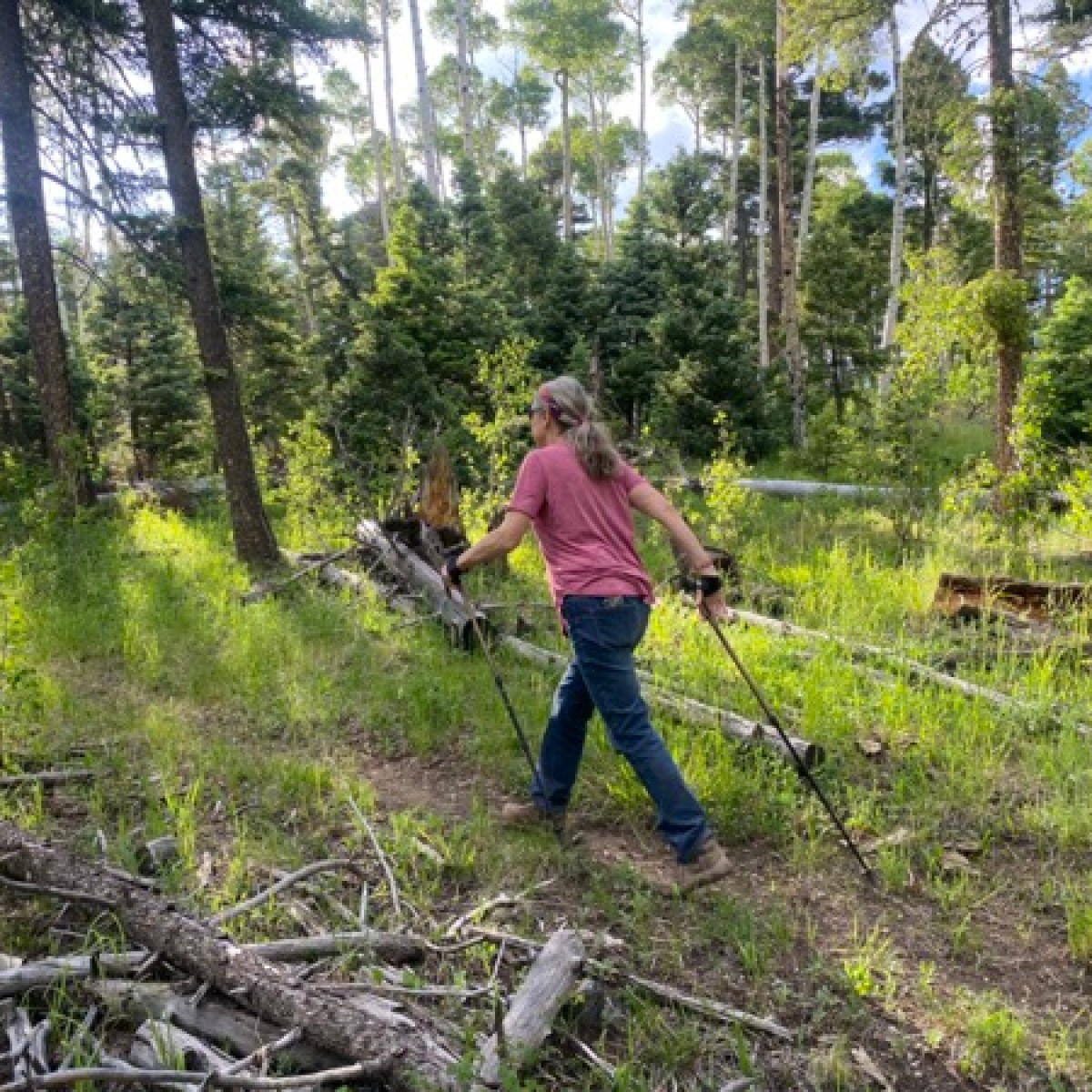 a person standing next to a forest