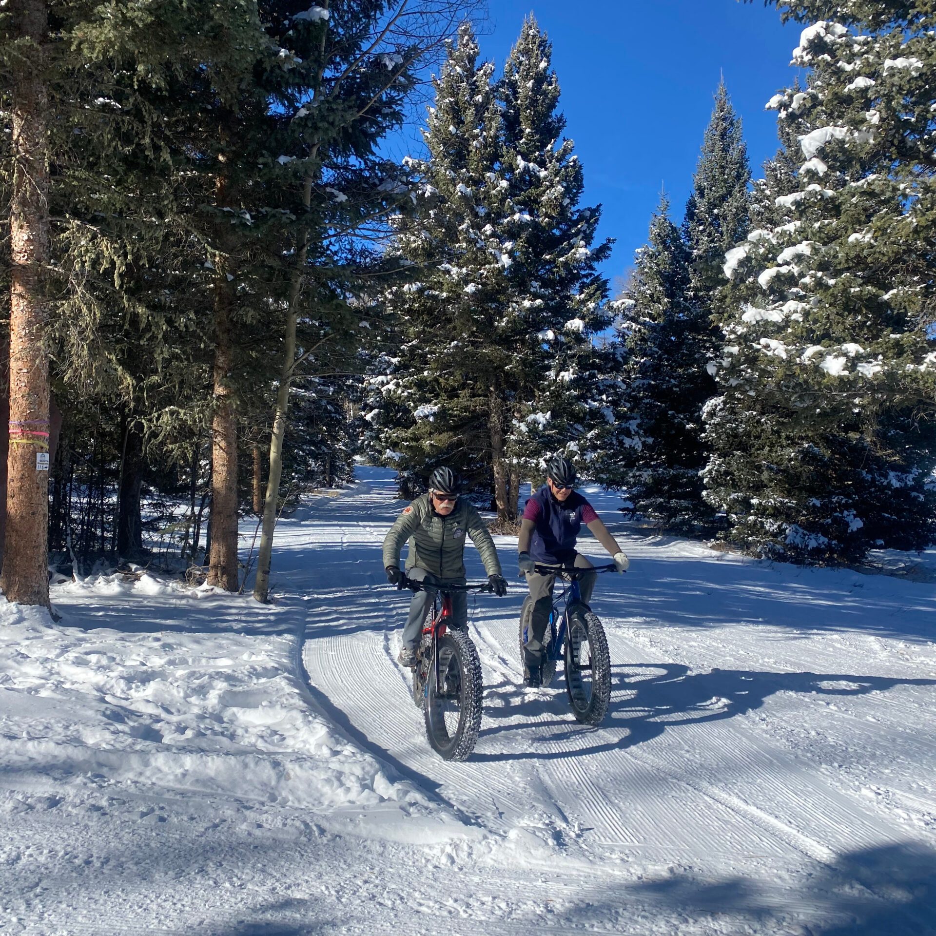 a group of people cross country skiing on a snow covered slope