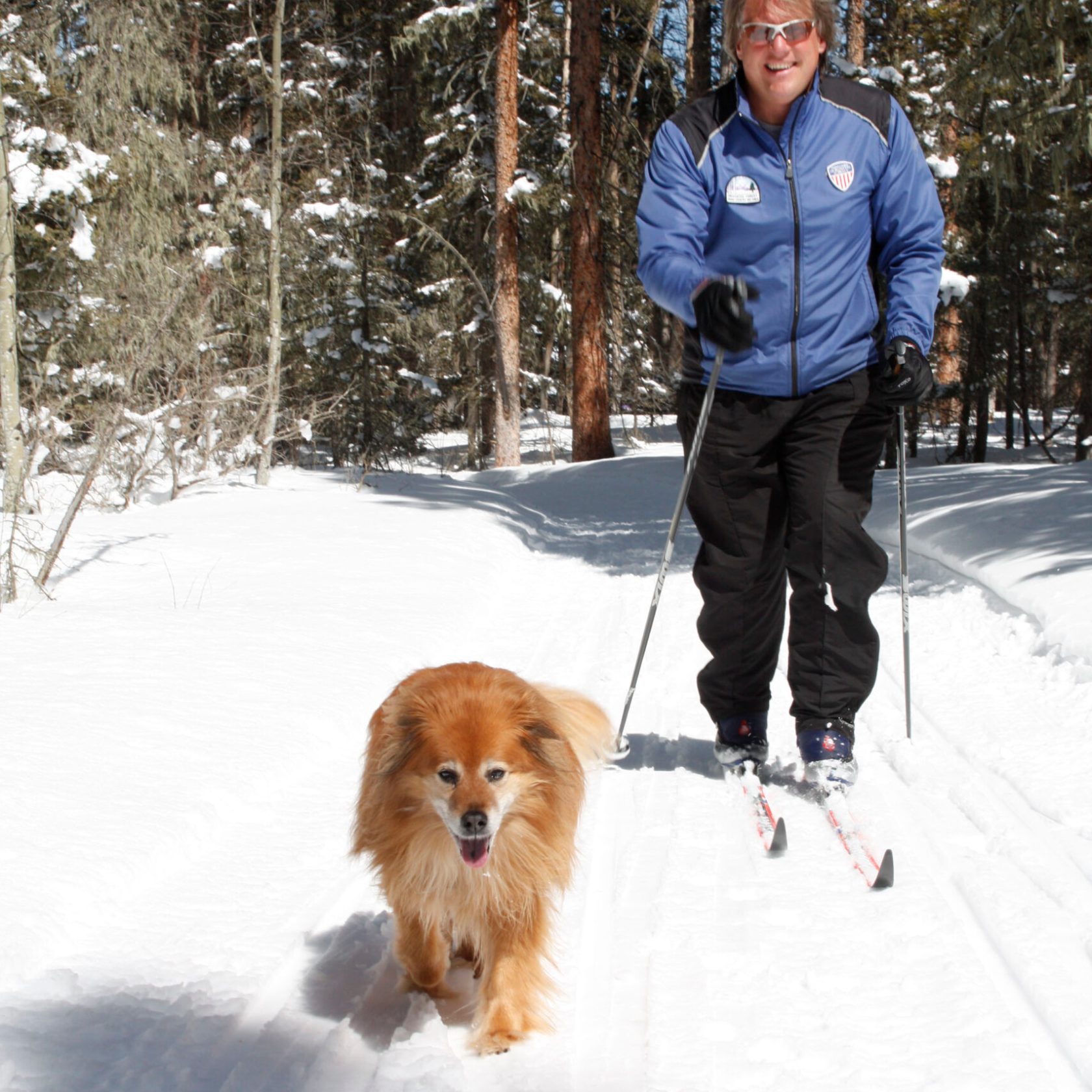 a person and a dog in the snow