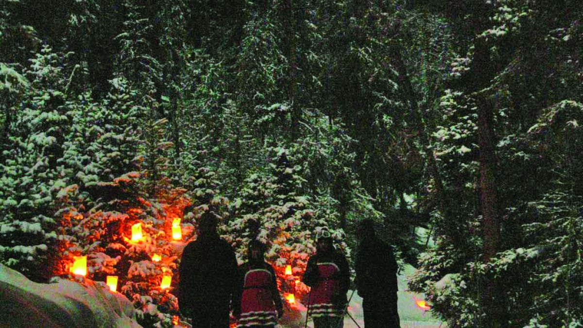 a group of people in a forest
