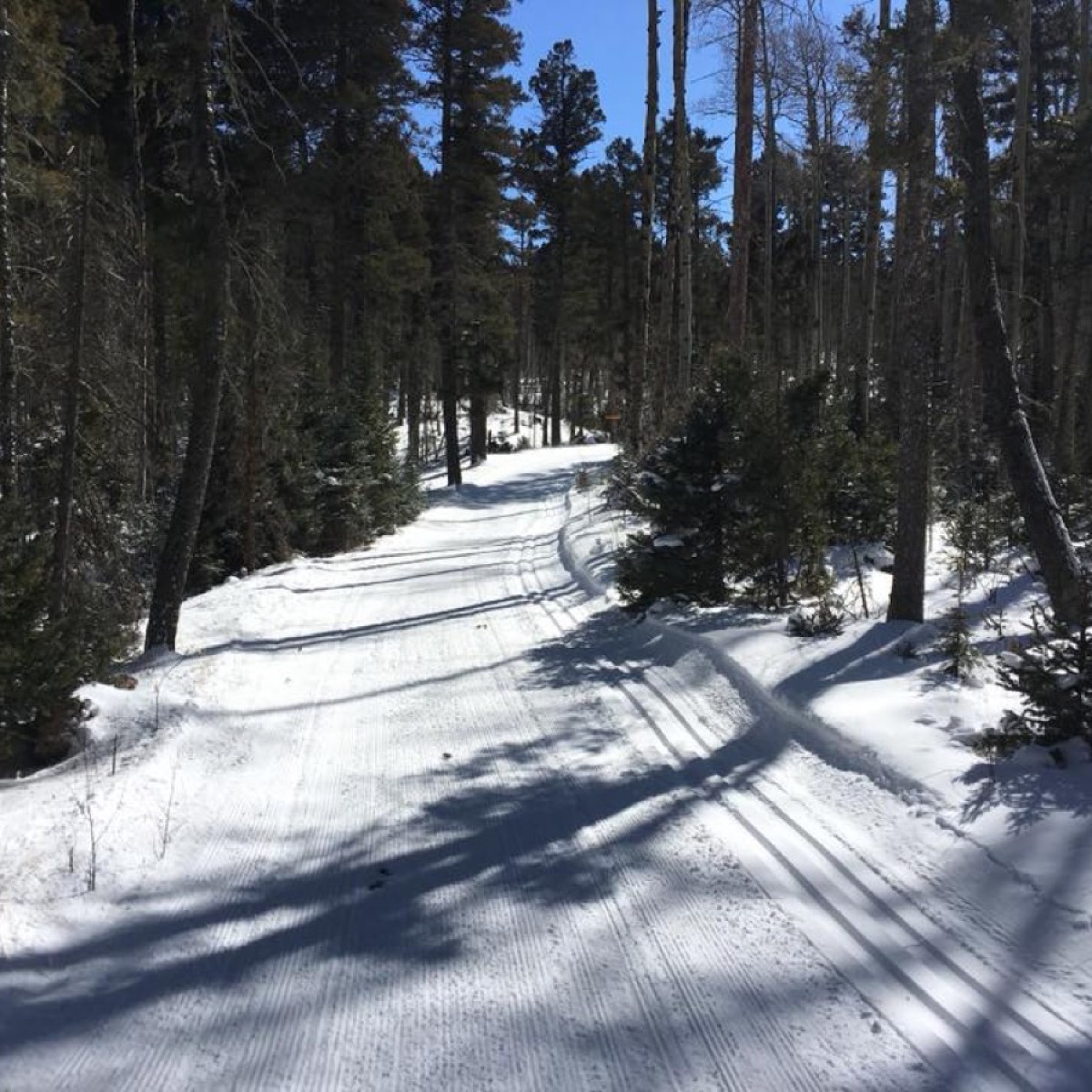 a man riding skis down a snow covered forest